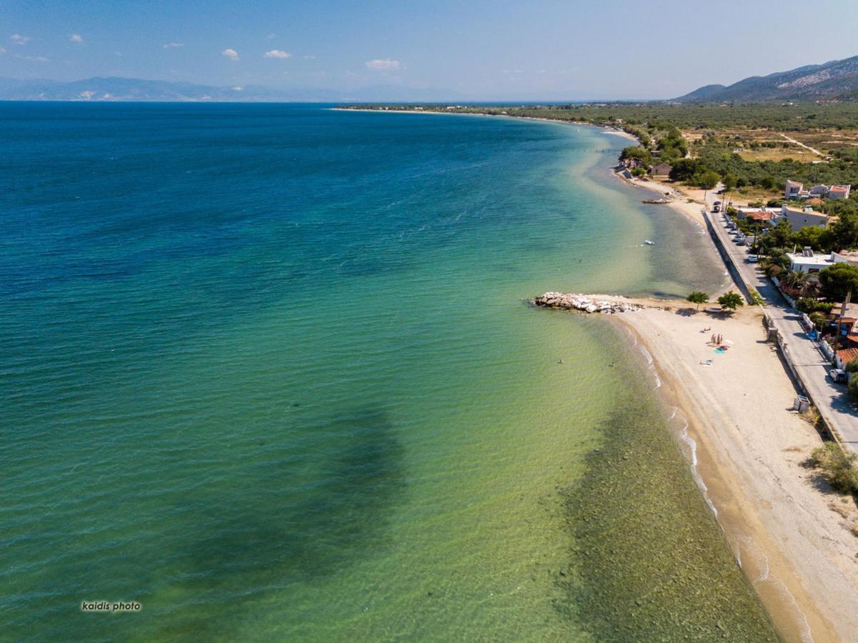 Villa 4 You Iliopetra Skala Sotiros Ngoại thất bức ảnh